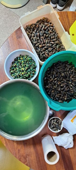 백순분님의 작성글 사진