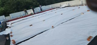 고추농사 정 미라님의 작성글 사진