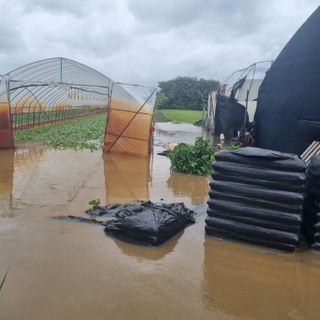 열무.대파.시금치님의 자유주제 · 자유게시판 작성글 사진