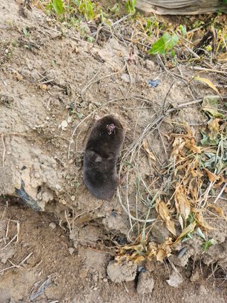 임재현님의 자유주제 · 자유게시판 작성글 사진