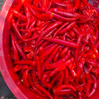 박흠님의 자유주제 · 자유게시판 작성글 사진