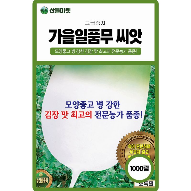 장터 상품 [가을일품 무씨앗 1000립 종자 5봉 구매시+랜덤씨앗 1개 증정] 썸네일