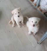 팜모닝 자유주제·자유게시판 게시글 이미지