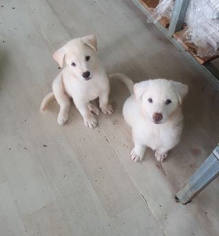 김인선님의 자유주제 · 자유게시판 작성글 사진