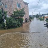 팜모닝 자유주제·자유게시판 게시글 이미지