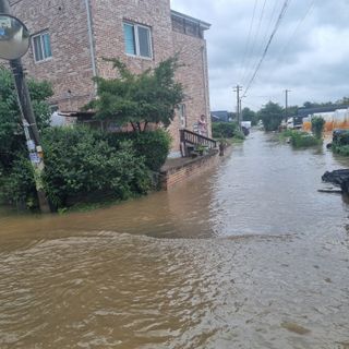 열무.대파.시금치님의 자유주제 · 자유게시판 작성글 사진