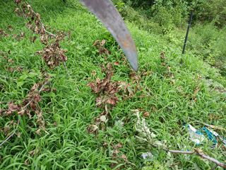 신현철님의 자유주제 · 자유게시판 작성글 사진