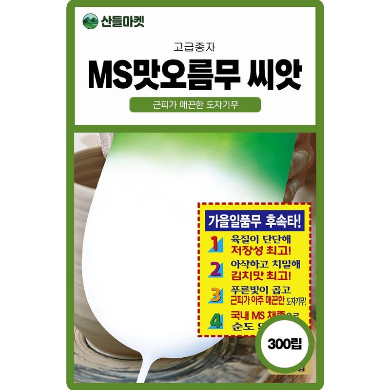 장터 상품 [MS맛오름 무씨앗 300립 종자 5봉 구매시+랜덤씨앗 1개 증정] 썸네일