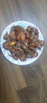 팜모닝 · 게시글 이미지