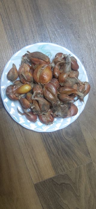 배추16219님의 작성글 사진