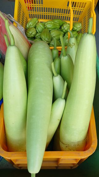 산성골농장님의 작성글 사진