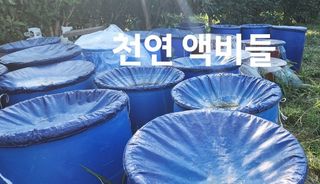 고추농사 정 미라님의 작성글 사진