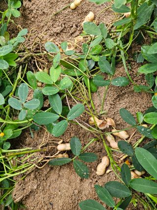 김용석님의 자유주제 · 자유게시판 작성글 사진