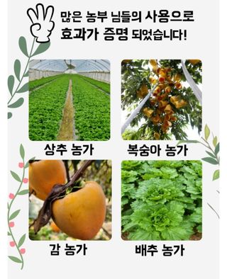 농사대장님의 작성글 사진