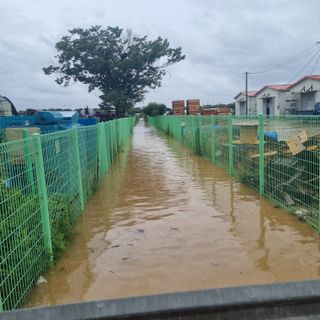 열무.대파.시금치님의 자유주제 · 자유게시판 작성글 사진