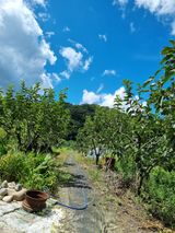 팜모닝 자유주제·자유게시판 게시글 이미지