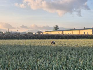 준영농장 출석왕.님의 자유주제 · 자유게시판 작성글 사진