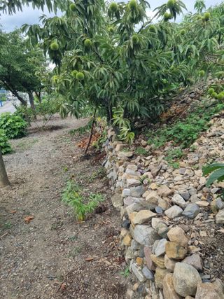 김용대님의 자유주제 · 자유게시판 작성글 사진