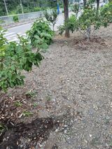 팜모닝 자유주제·자유게시판 게시글 이미지