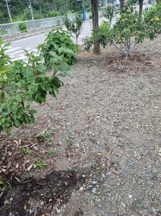 김용대님의 자유주제 · 자유게시판 작성글 사진