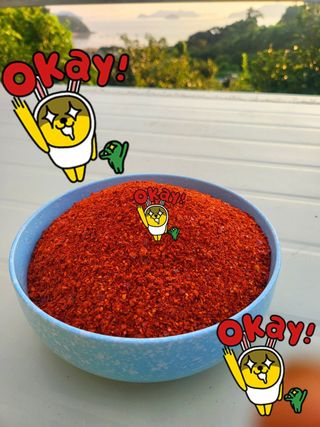 고추농사 정 미라님의 작성글 사진