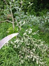 팜모닝 자유주제·자유게시판 게시글 이미지