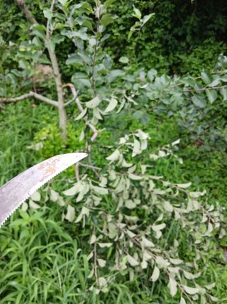 신현철님의 자유주제 · 자유게시판 작성글 사진