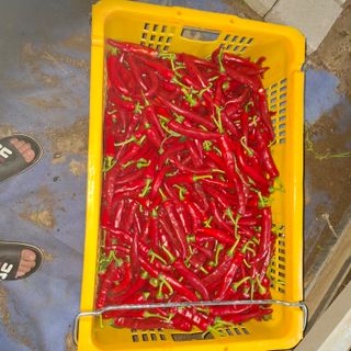 오영도님의 자유주제 · 자유게시판 작성글 사진