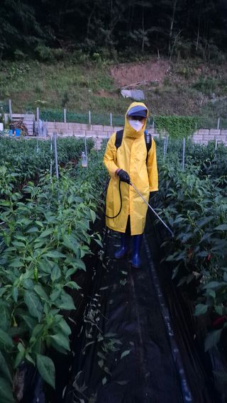김진님의 자유주제 · 자유게시판 작성글 사진
