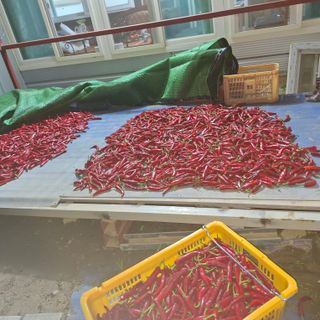 오영도님의 자유주제 · 자유게시판 작성글 사진