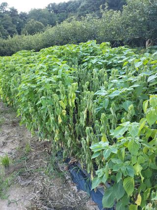 정수산님의 자유주제 · 자유게시판 작성글 사진