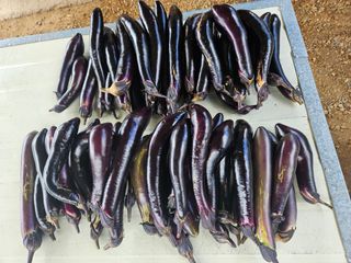 정재남님의 자유주제 · 자유게시판 작성글 사진