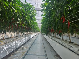 아이농장님의 작성글 사진