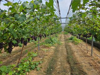 김도경님의 자유주제 · 자유게시판 작성글 사진