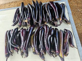 정재남님의 자유주제 · 자유게시판 작성글 사진