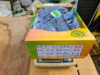 김도경님의 자유주제 · 자유게시판 작성글 사진