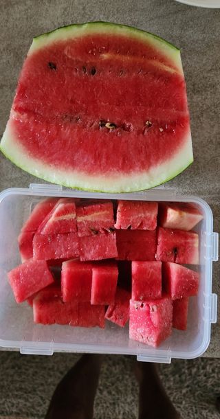 접시꽃님의 자유주제 · 자유게시판 작성글 사진