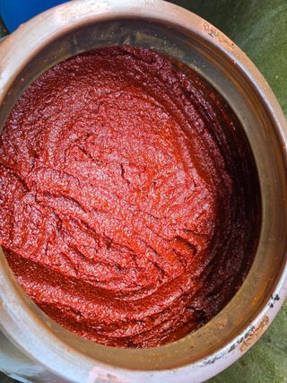 고추농사 정 미라님의 작성글 사진