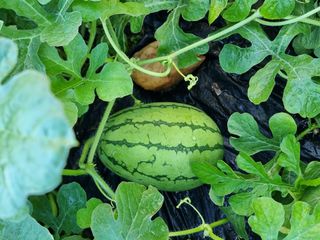 권병☆님의 자유주제 · 자유게시판 작성글 사진