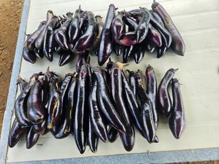 정재남님의 자유주제 · 자유게시판 작성글 사진