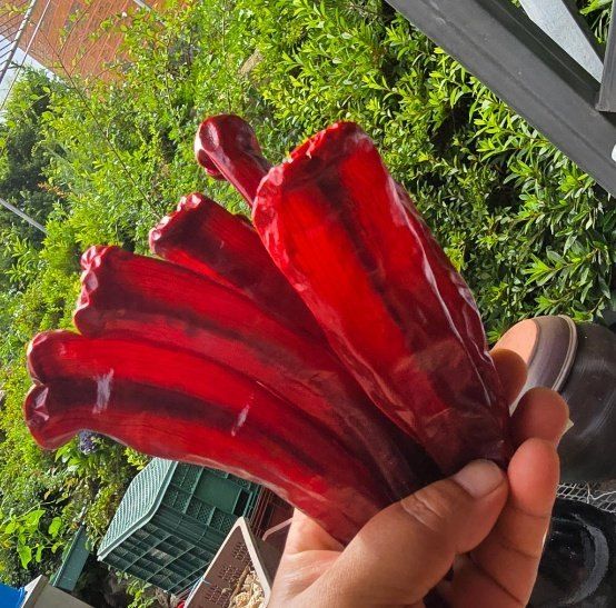 고추농사 정 미라님의 장터 판매 상품 [태양초 햇 고추가루 ] 첨부 사진