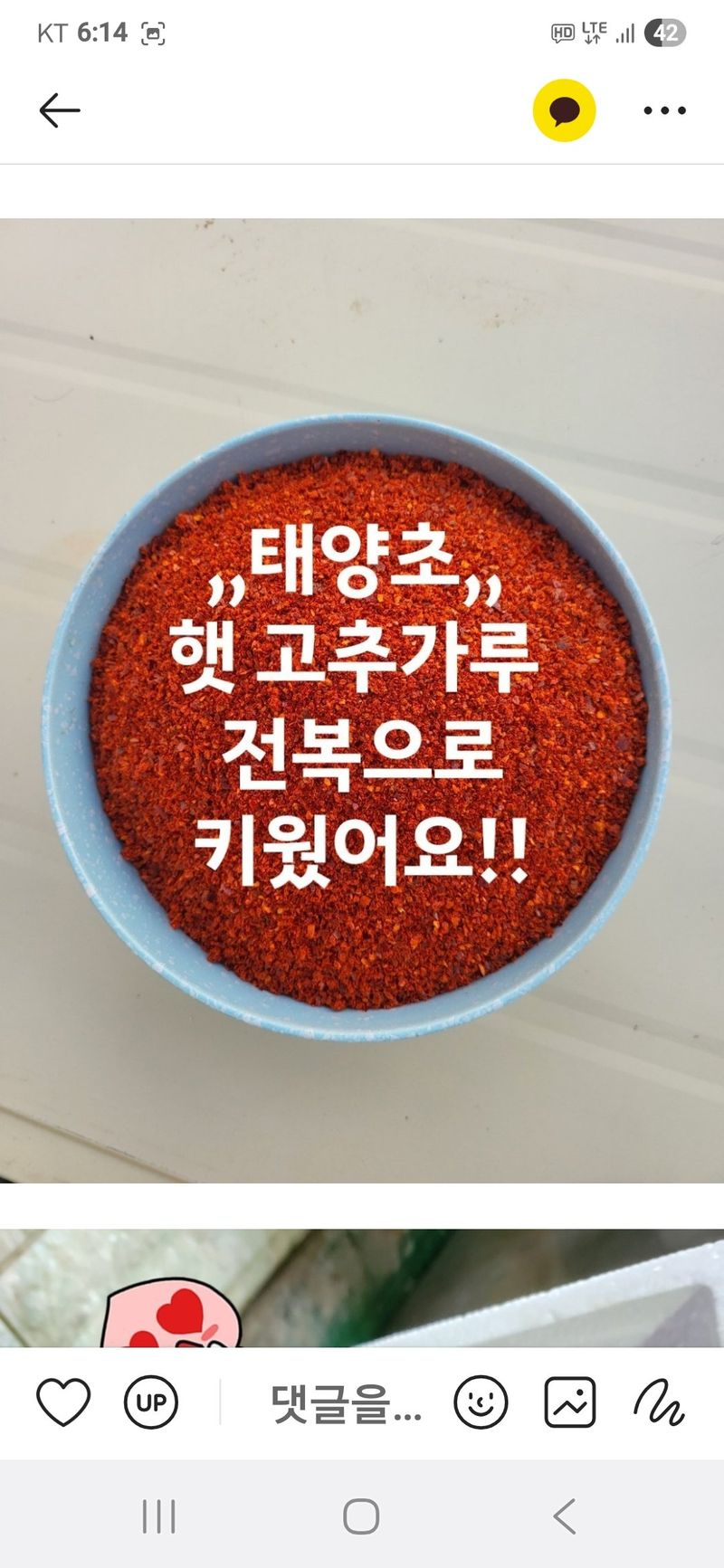 고추농사 정 미라님의 장터 판매 상품 [태양초 햇 고추가루 ] 첨부 사진