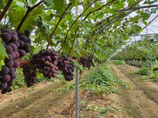 김도경님의 자유주제 · 자유게시판 작성글 사진