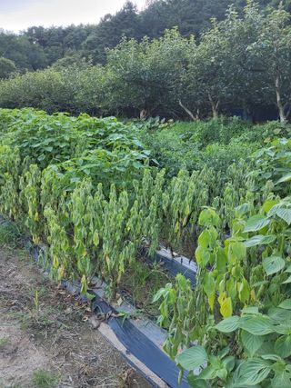 정수산님의 자유주제 · 자유게시판 작성글 사진