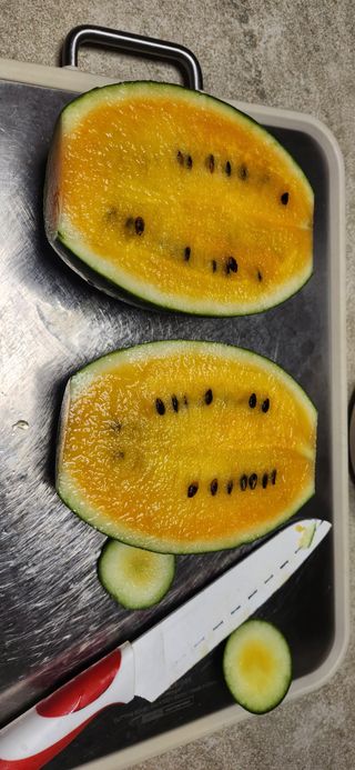 접시꽃님의 자유주제 · 자유게시판 작성글 사진