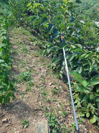 김용대님의 자유주제 · 자유게시판 작성글 사진