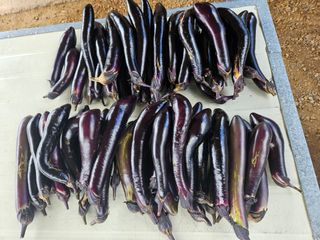 정재남님의 자유주제 · 자유게시판 작성글 사진