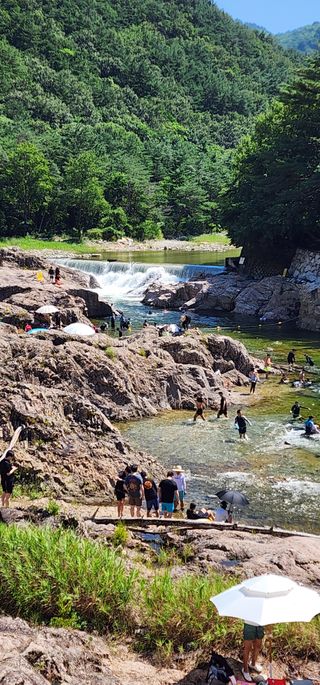 고추건조기부품판매님의 자유주제 · 자유게시판 작성글 사진