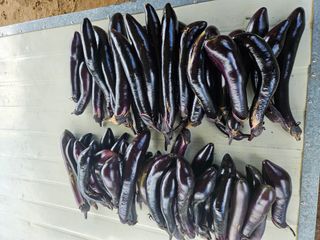 정재남님의 자유주제 · 자유게시판 작성글 사진