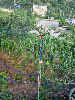 김용대님의 자유주제 · 자유게시판 작성글 사진